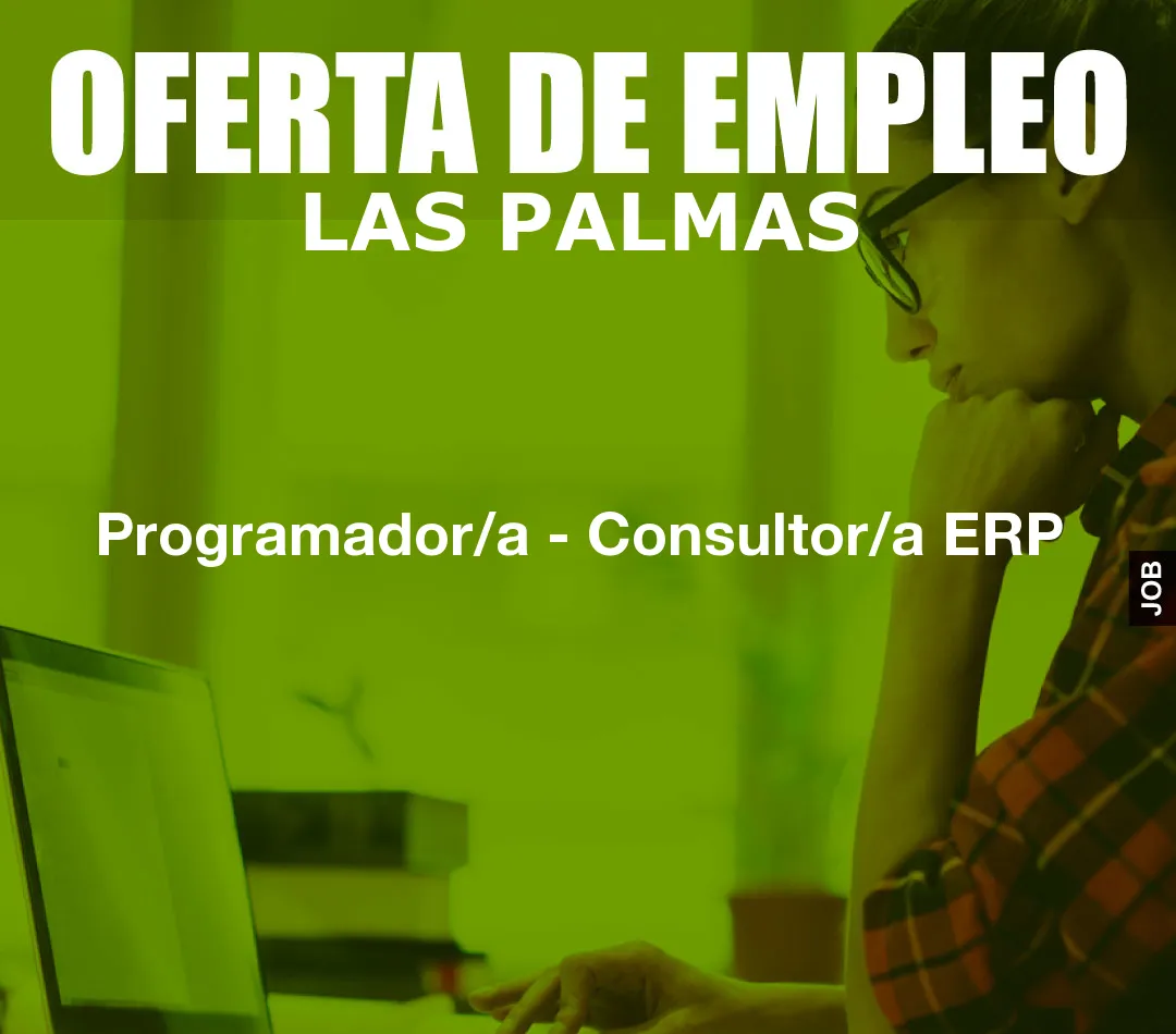 Programador/a – Consultor/a ERP