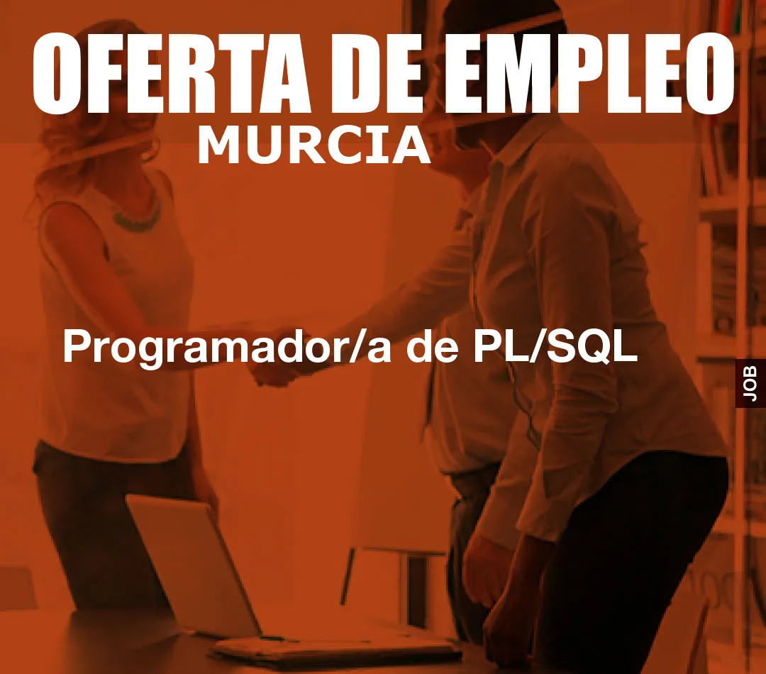 Programador/a de PL/SQL Programador/a de PL/SQL