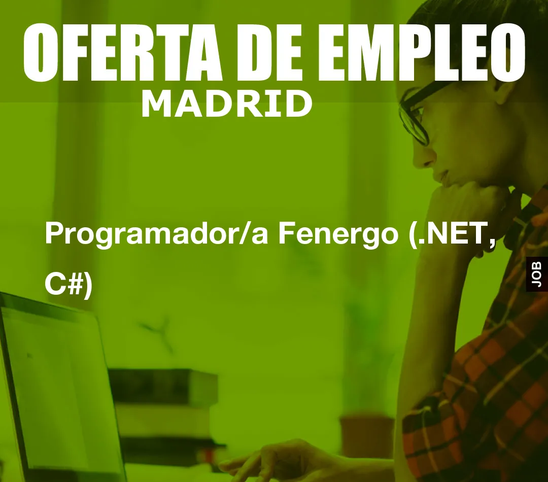 Programador/a Fenergo (.NET, C#) Programador/a Fenergo (.NET, C#)