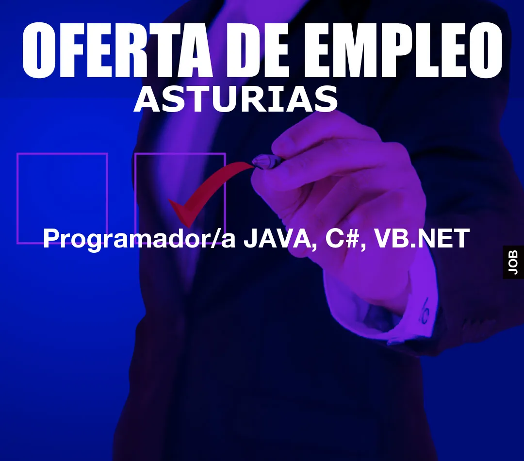 Programador/a JAVA, C#, VB.NET