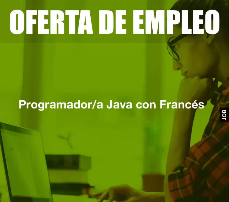 Programador/a Java con Francés