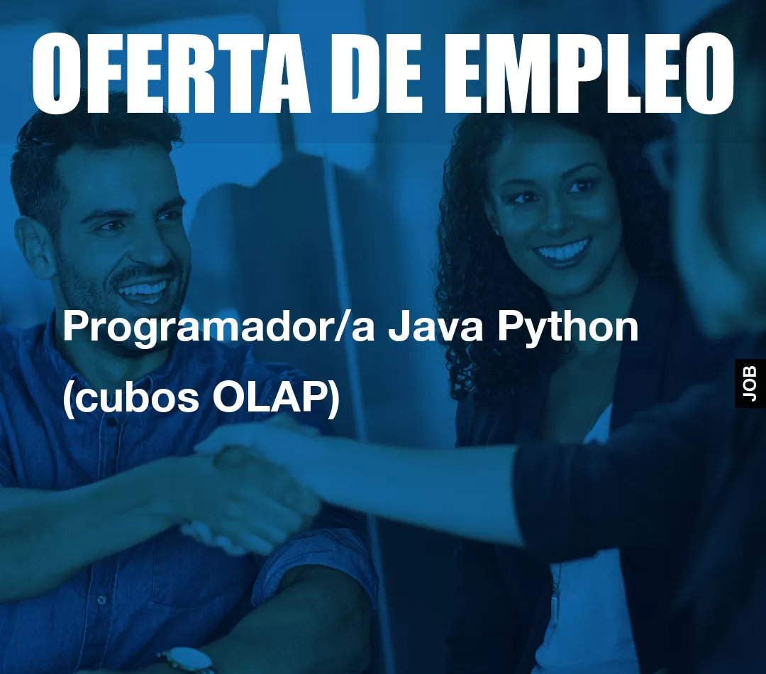 Programador/a Java Python (cubos OLAP) Programador/a Java Python (cubos OLAP)