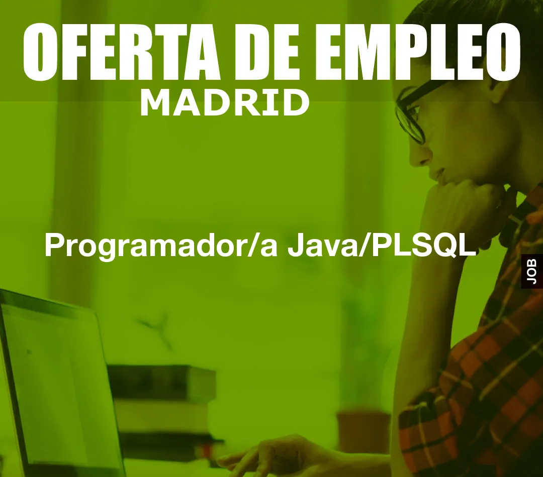 Programador/a Java/PLSQL