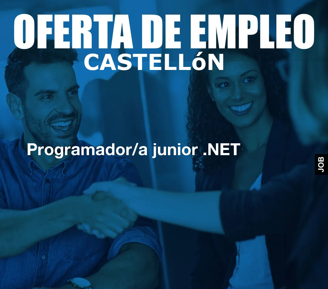 Programador/a junior .NET