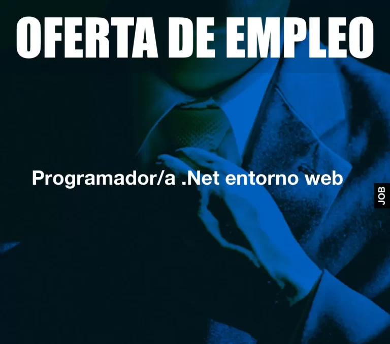 Programador/a .Net entorno web