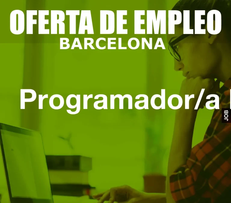 Programador/a PLM