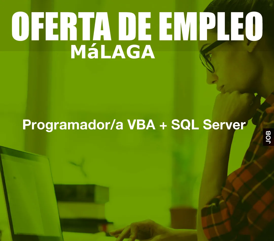 Programador/a VBA + SQL Server Programador/a VBA + SQL Server