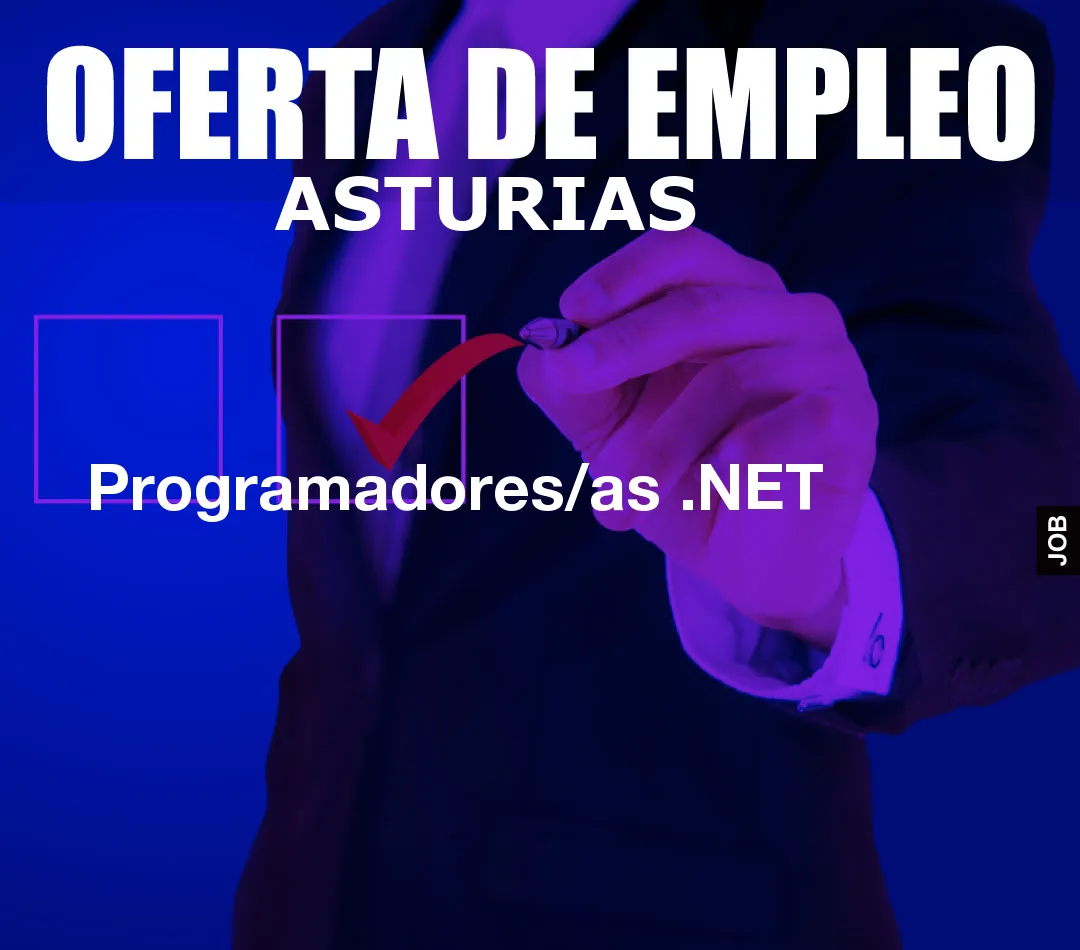 Programadores/as .NET Programadores/as .NET