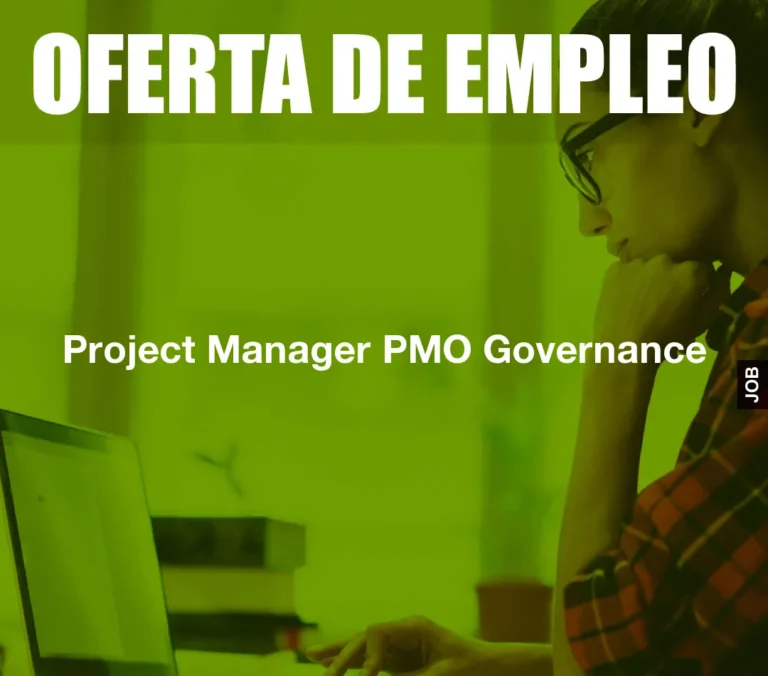 Project Manager PMO Governance