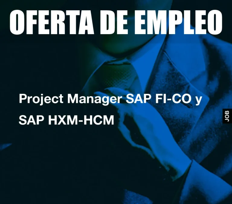 Project Manager SAP FI-CO y SAP HXM-HCM