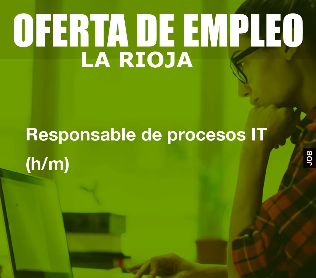 Responsable de procesos IT (h/m)