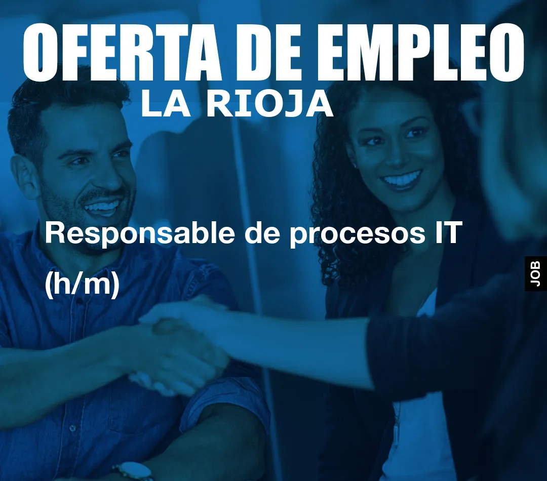 Responsable de procesos IT (h/m)