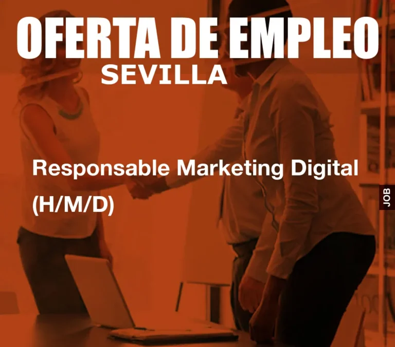 Responsable Marketing Digital (H/M/D)