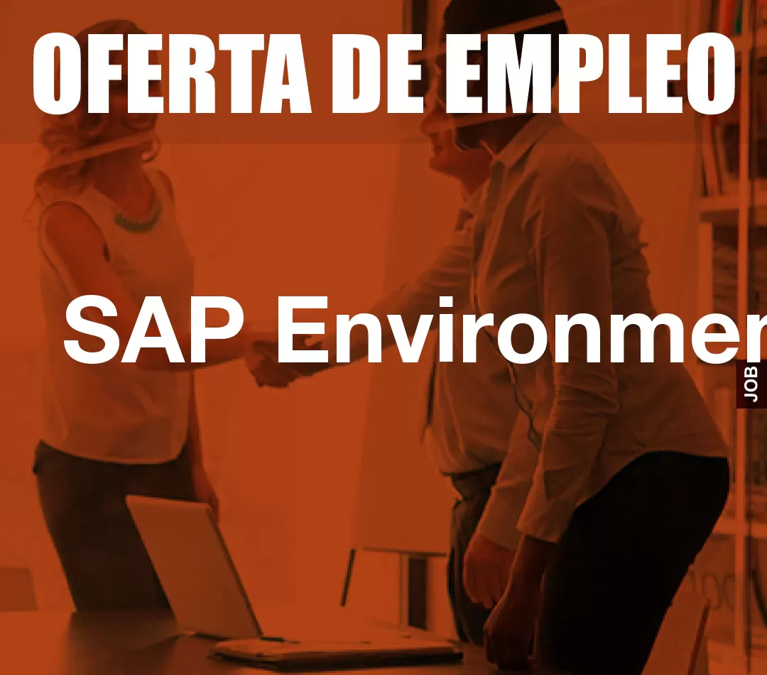 SAP Environment SAP Environment
