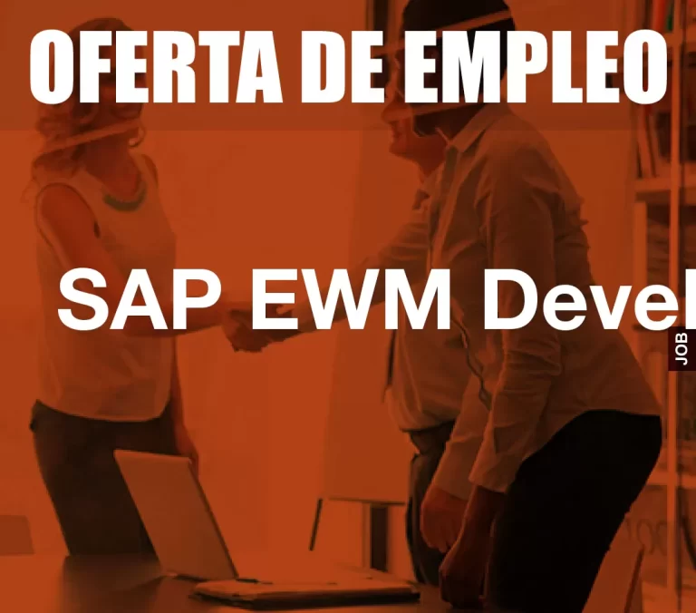 SAP EWM Developer