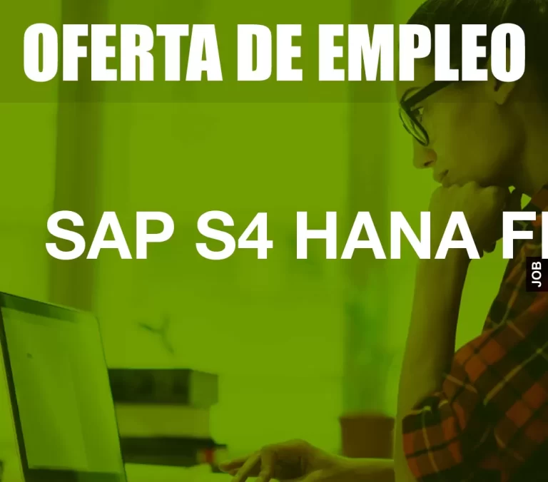 SAP S4 HANA FI CO