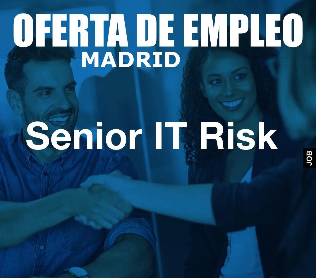 Senior IT Risk Senior IT Risk