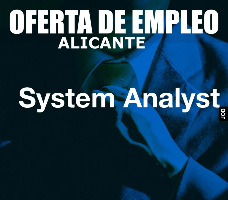 System Analyst
