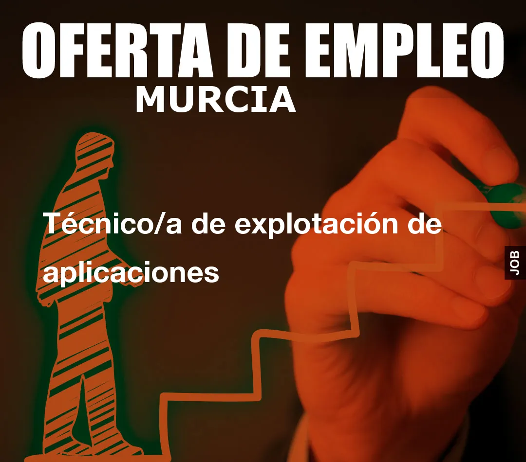 Técnico/a de explotación de aplicaciones