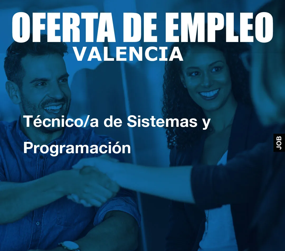 Técnico/a de Sistemas y Programación