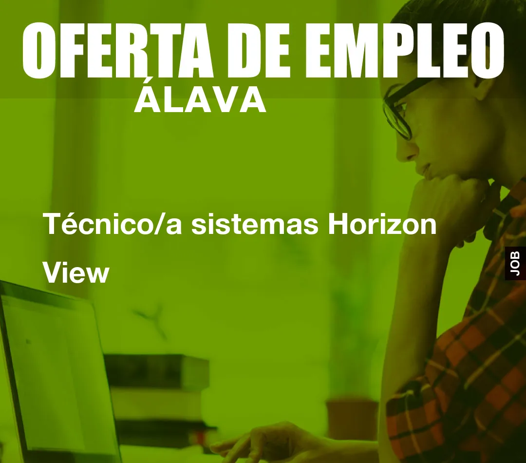 Técnico/a sistemas Horizon View