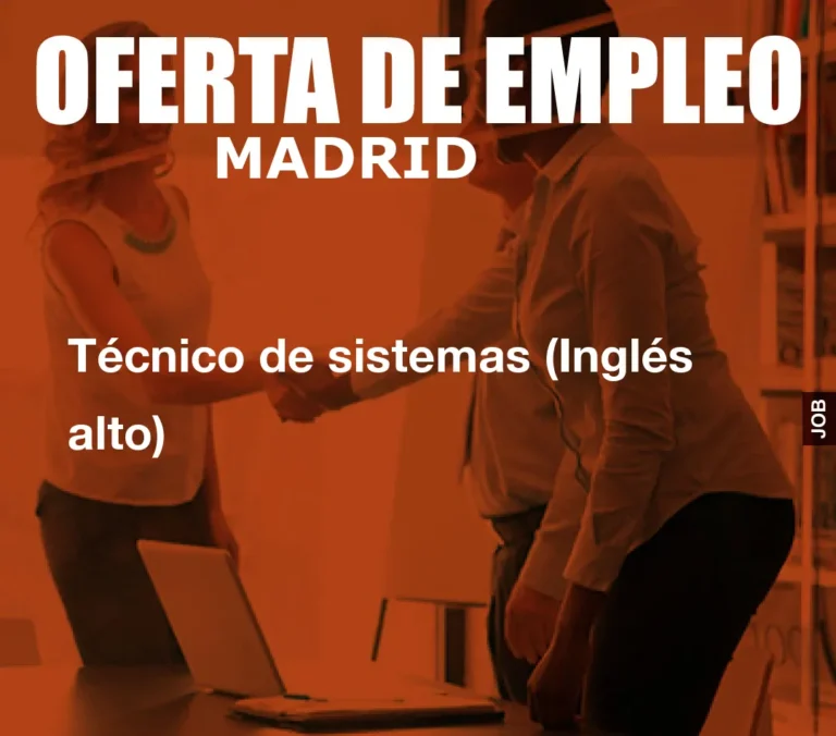 Técnico de sistemas (Inglés alto)