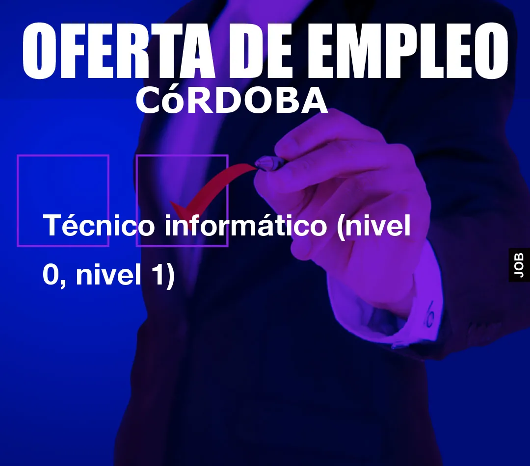 Técnico informático (nivel 0, nivel 1) Técnico informático (nivel 0, nivel 1)