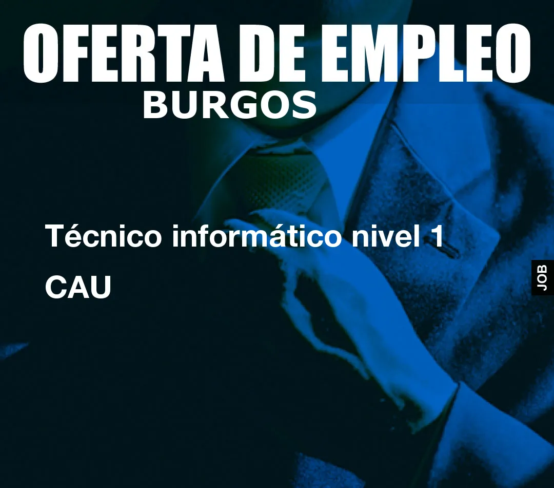 Técnico informático nivel 1 CAU