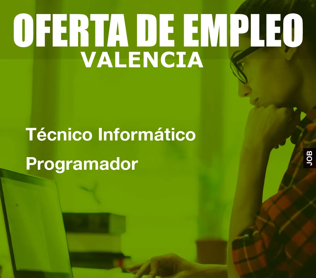 Técnico Informático Programador Técnico Informático Programador