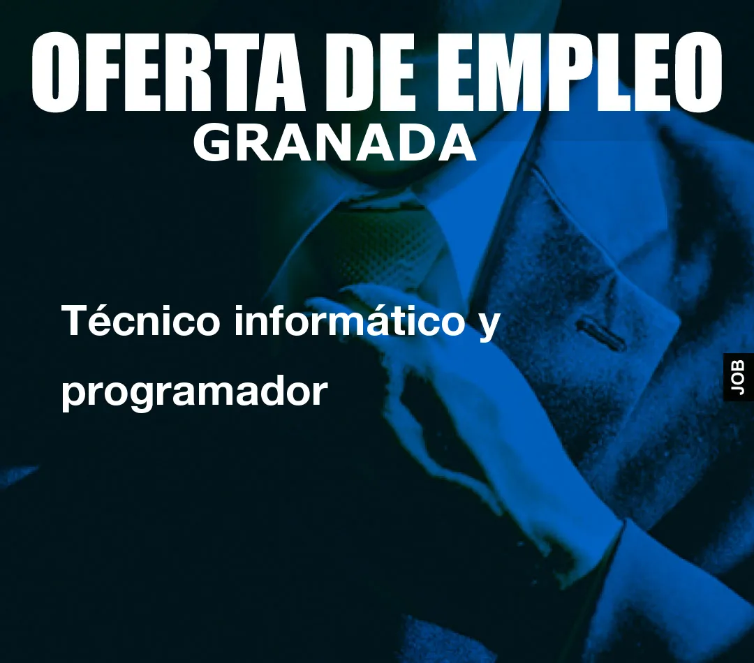 Técnico informático y programador
