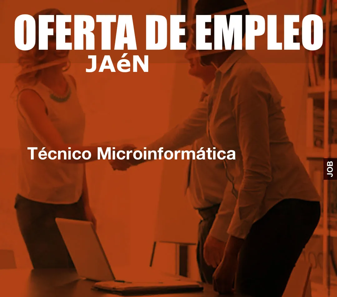 Técnico Microinformática
