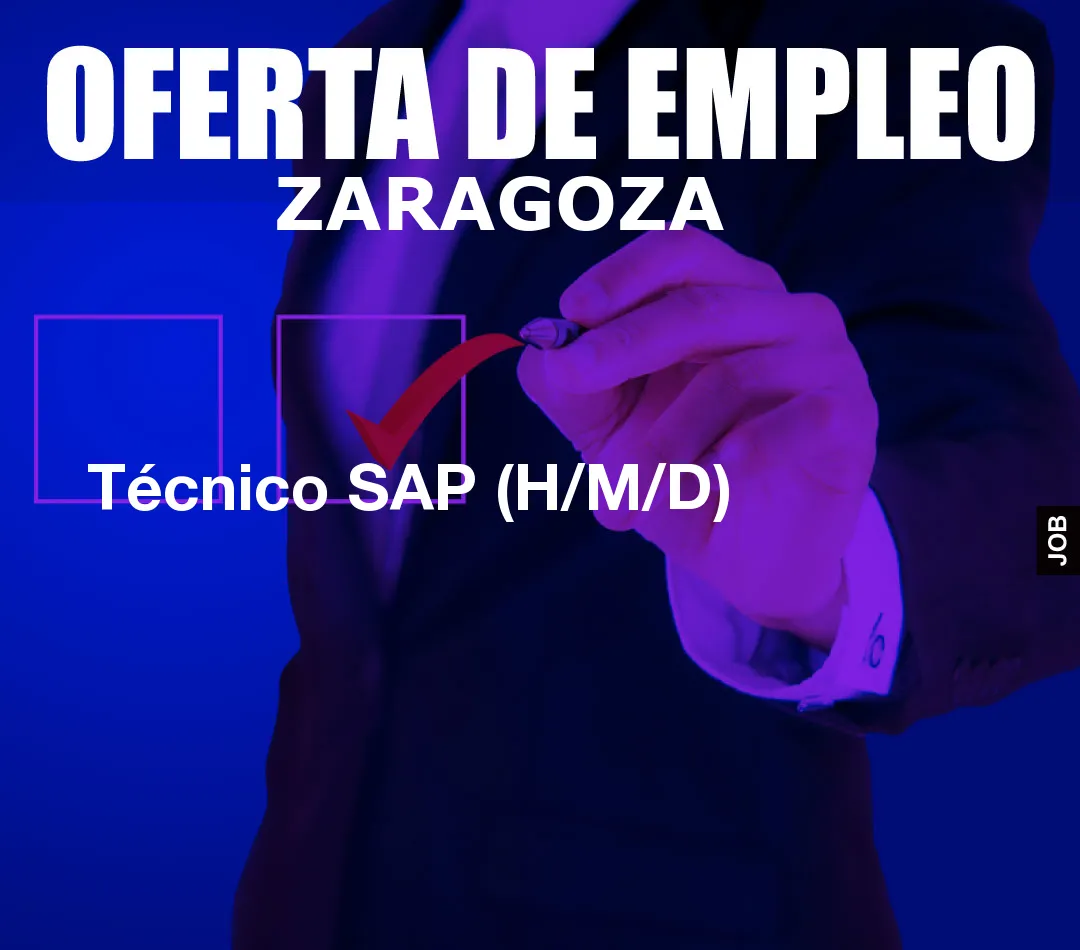 Técnico SAP (H/M/D) Técnico SAP (H/M/D)