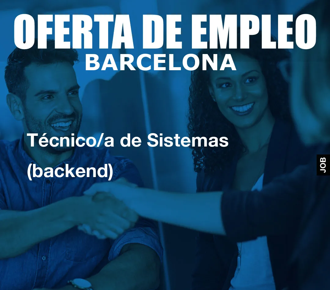 Técnico/a de Sistemas (backend) Técnico/a de Sistemas (backend)