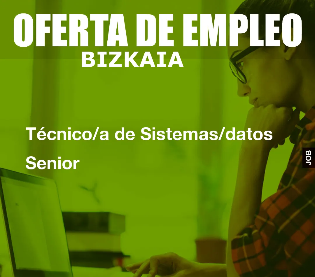 Técnico/a de Sistemas/datos Senior Técnico/a de Sistemas/datos Senior