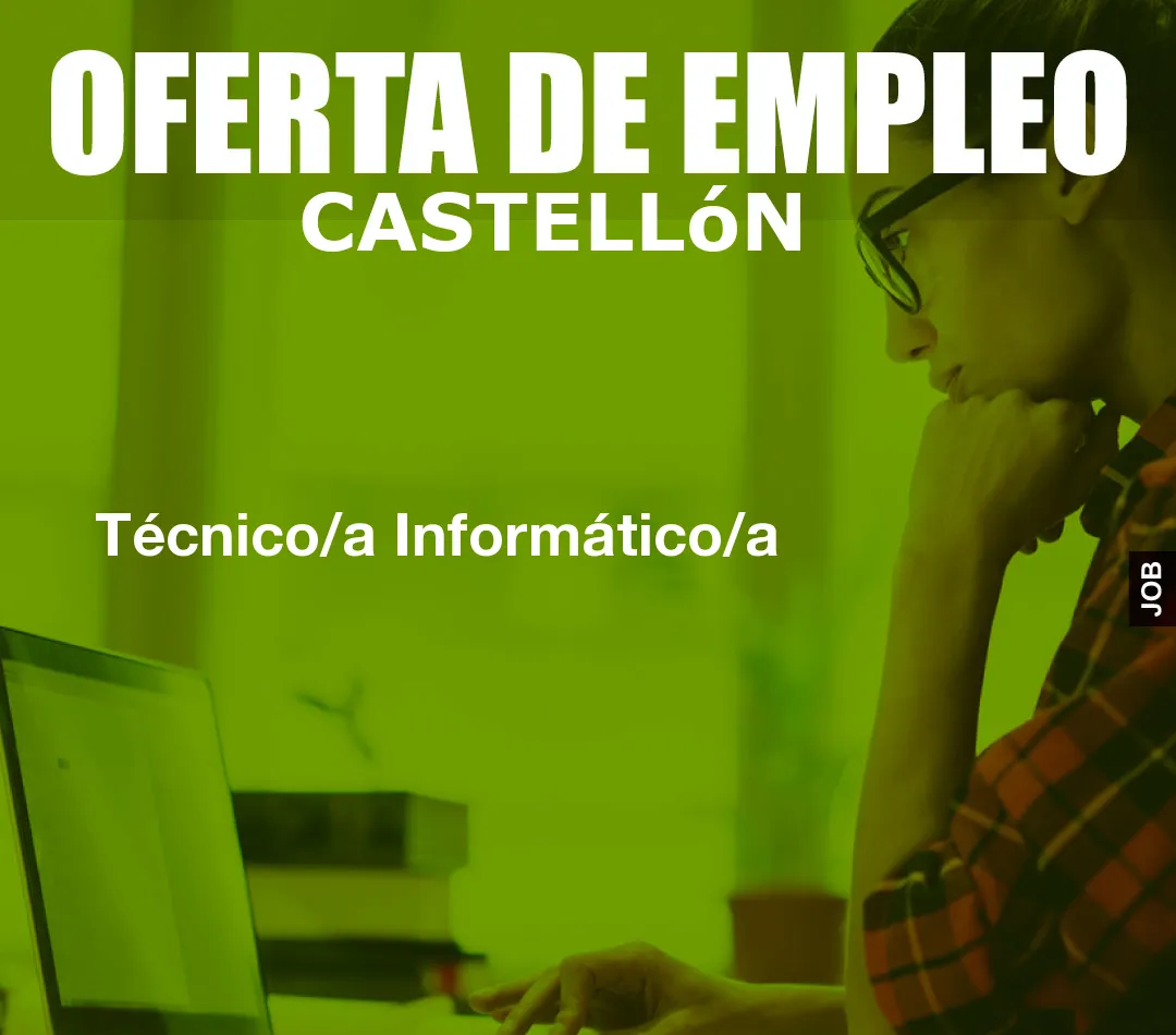 Técnico/a Informático/a