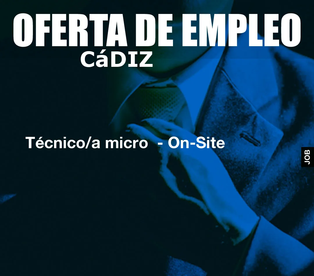 Técnico/a micro  – On-Site