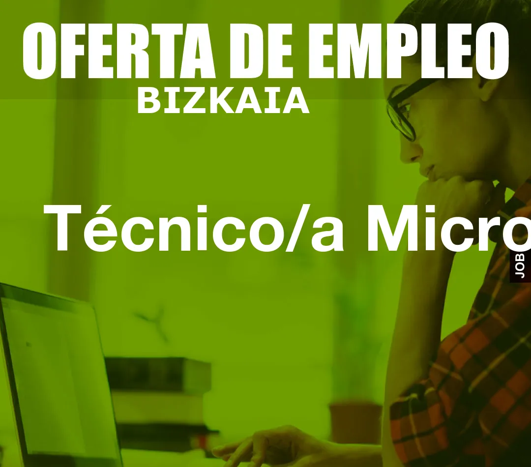 Técnico/a Micro Técnico/a Micro