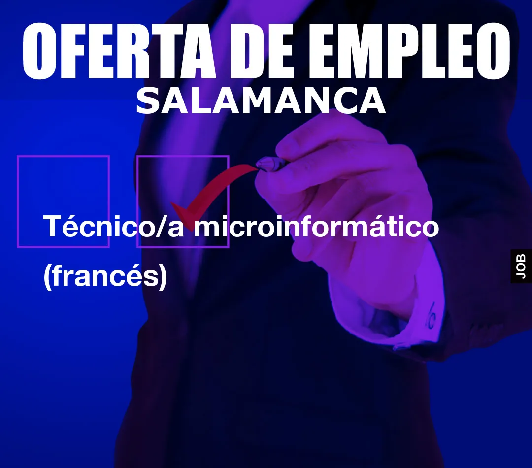 Técnico/a microinformático (francés)