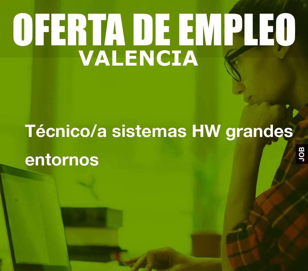 Técnico/a sistemas HW grandes entornos