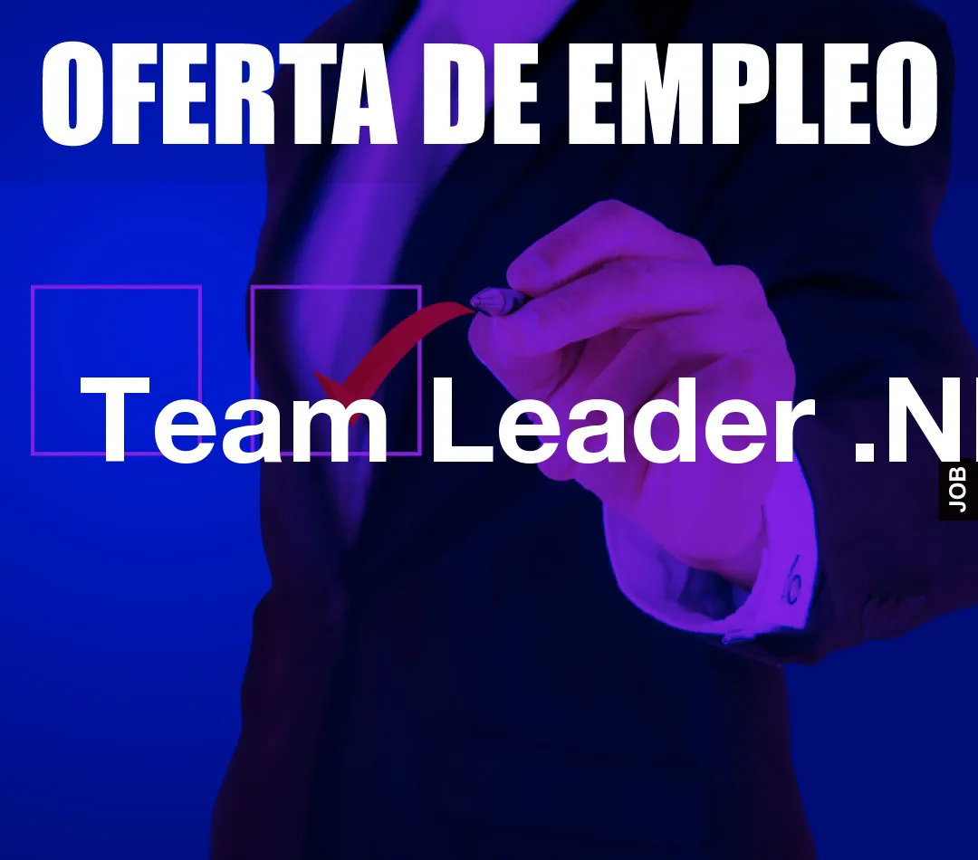 Team Leader .NET