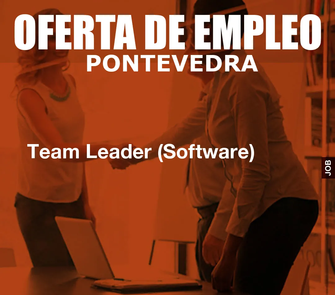 Team Leader (Software) Team Leader (Software)