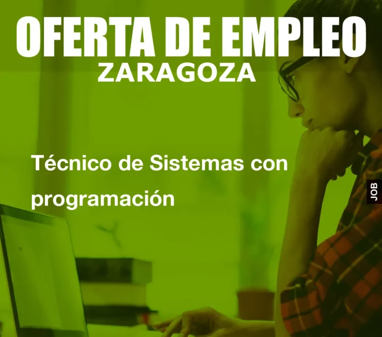 Técnico de Sistemas con programación