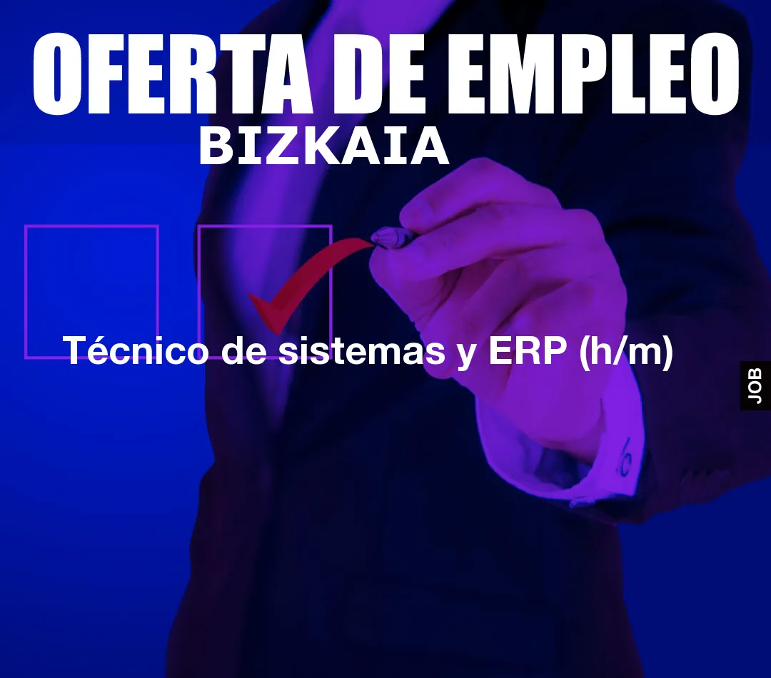 Técnico de sistemas y ERP (h/m) Técnico de sistemas y ERP (h/m)