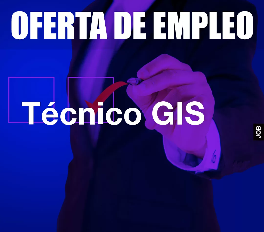 Técnico GIS Técnico GIS