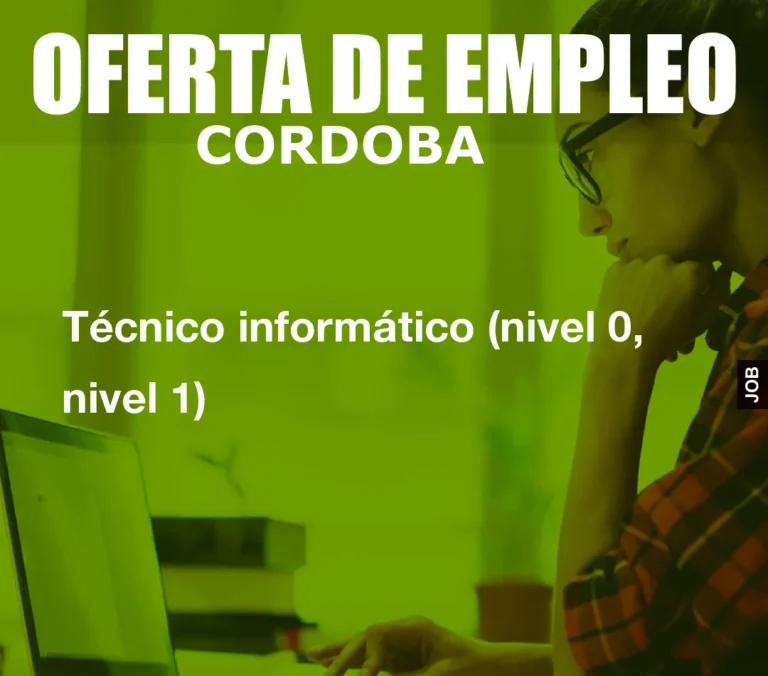 Técnico informático (nivel 0, nivel 1)