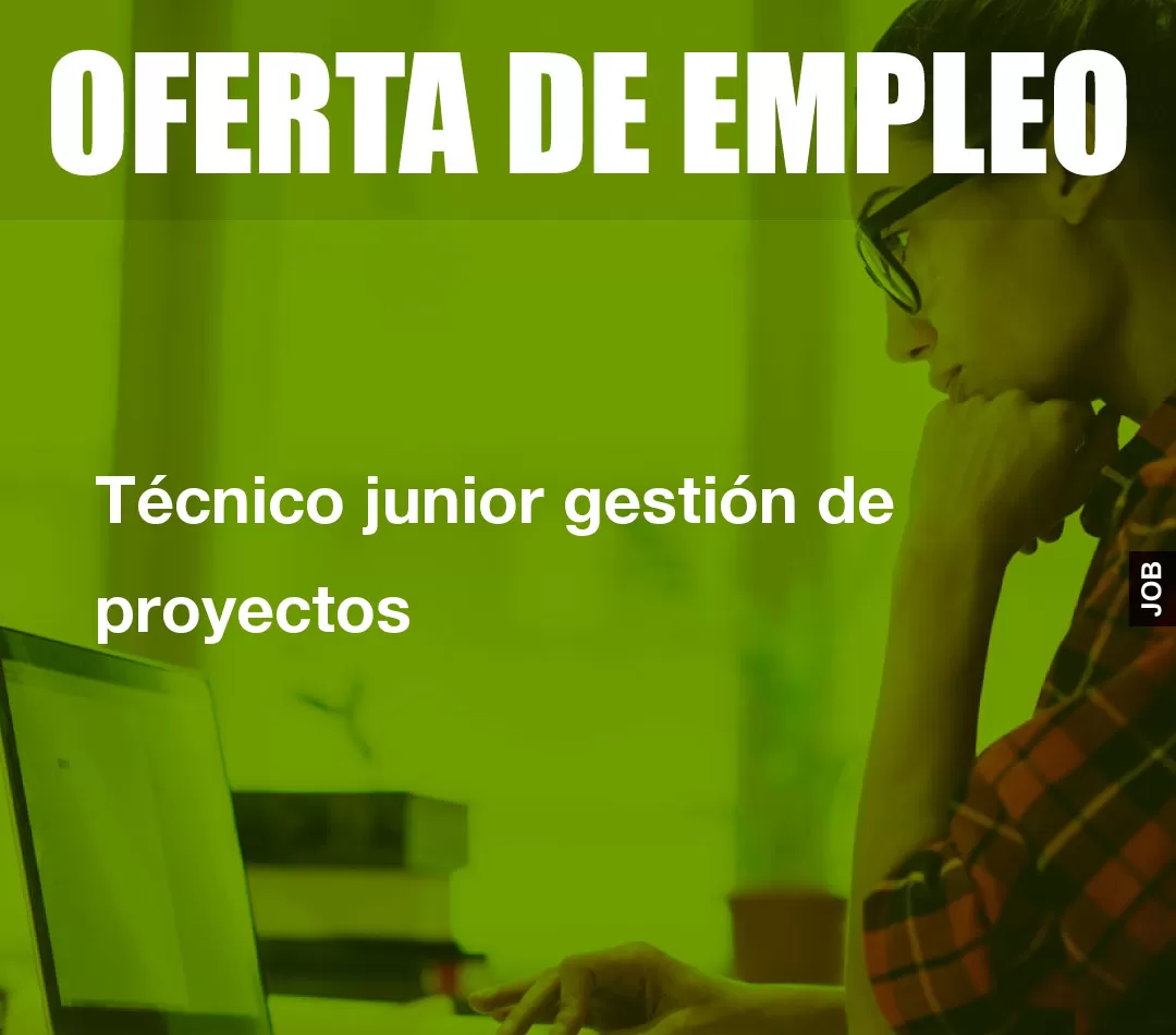 Técnico junior gestión de proyectos