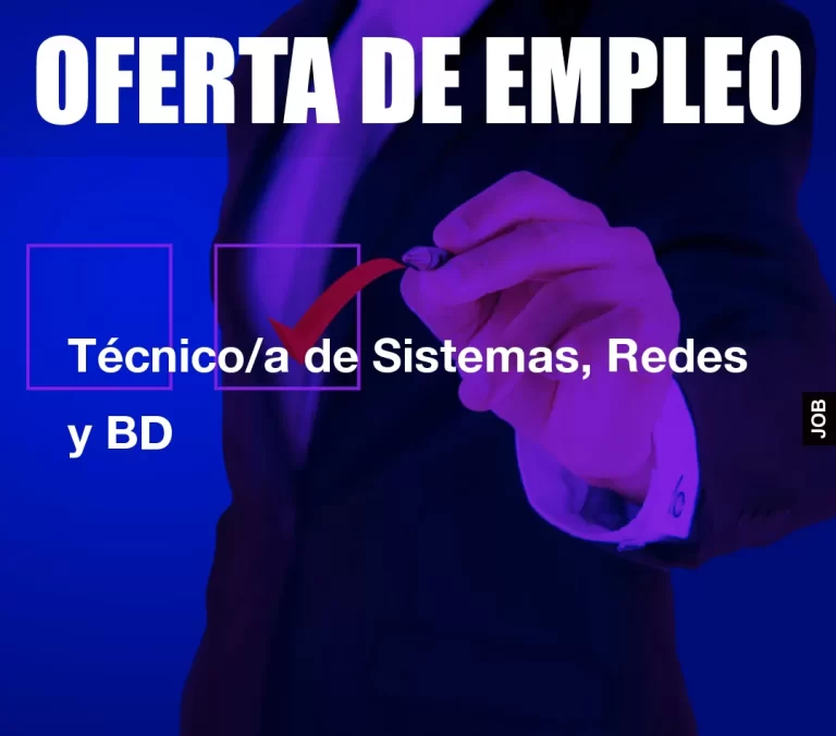 Técnico/a de Sistemas, Redes y BD