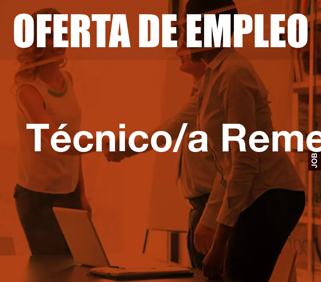Técnico/a Remedy Técnico/a Remedy