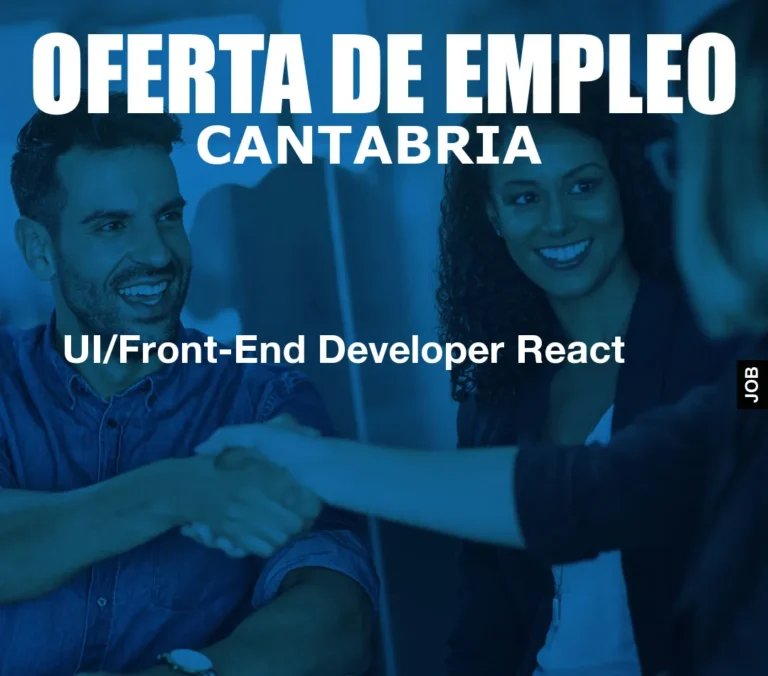UI/Front-End Developer React